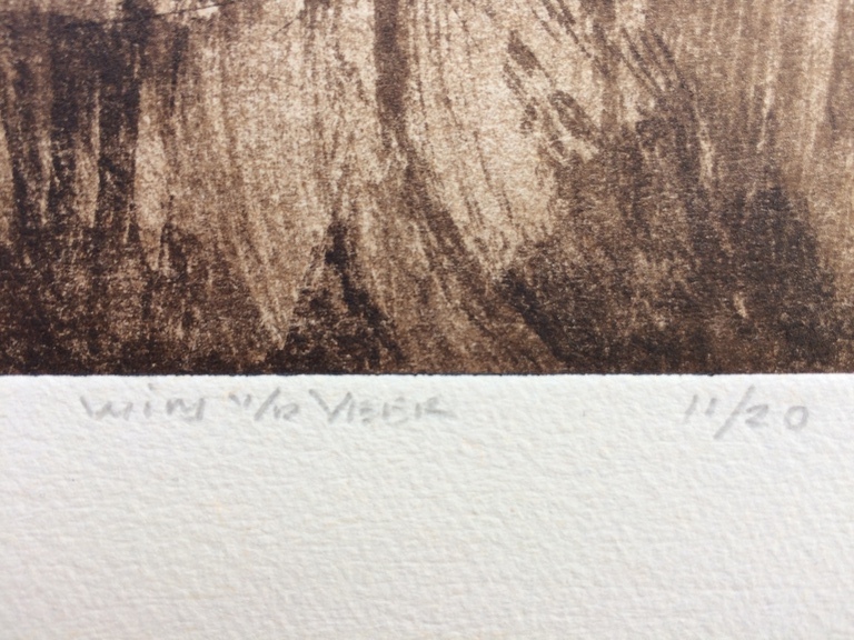 Wim van der Veer, aquatint, natuurgebied met bomen, omstreeks 1985-1990 kopen? Bied vanaf 1!