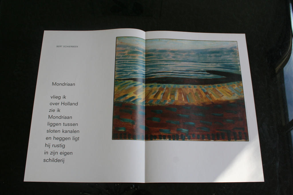 ,Portfolio,Verschoven van het licht tot in de mist,16 dichters over Mondriaan kopen? Bied vanaf 25!