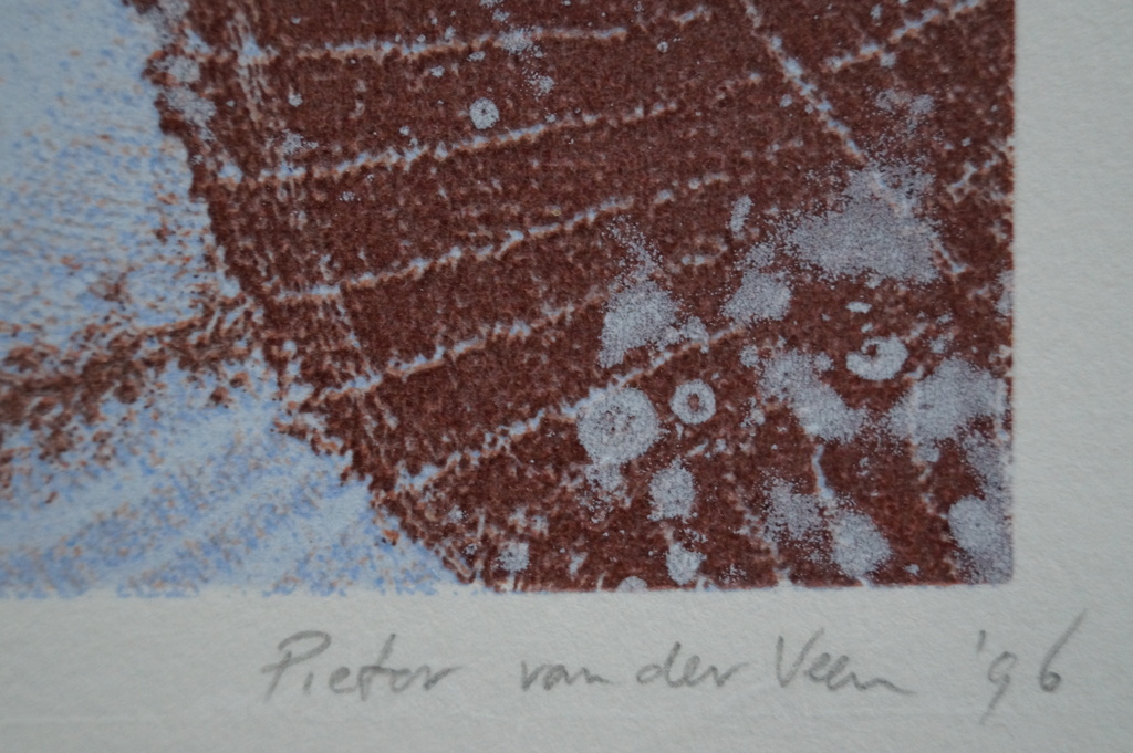 Pieter van der Veen - gesigneerde zeefdruk - 1996 kopen? Bied vanaf 10!