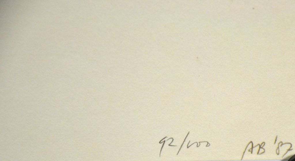 Ansuya Blom: Zeefdruk. Brein kopen? Bied vanaf 70!