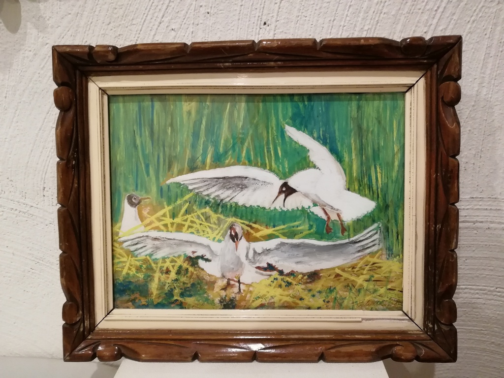 sclilderij waterverf op karton - J.H.Wattez 1882-1932 - wilde zwanen kopen? Bied vanaf 25!