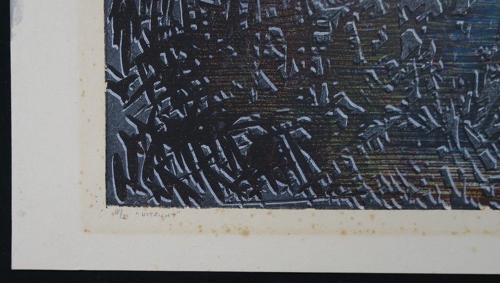 Willem de Vries: Houtsnede, Uitzicht kopen? Bied vanaf 1!