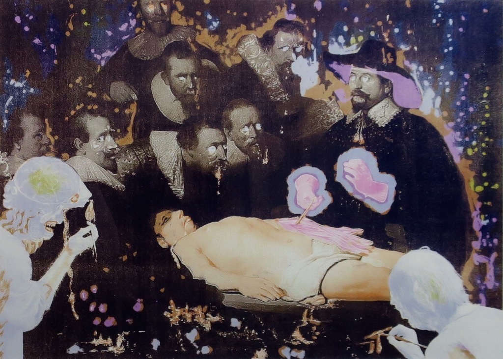 Rob Birza: Zeefdruk, De anatomieles - Ingelijst kopen? Bied vanaf 60!