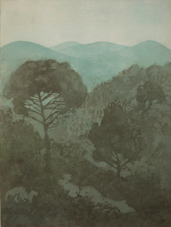 Willy Belinfante, SCHEMER IN DE PROVENCE, kleurets kopen? Bied vanaf 1!