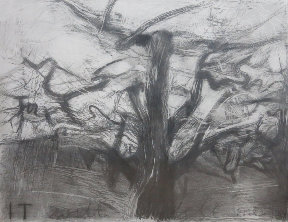 Mynke Buskens: Potlood/houtskool op papier, It will tell me - Ingelijst (Groot) kopen? Bied vanaf 1!