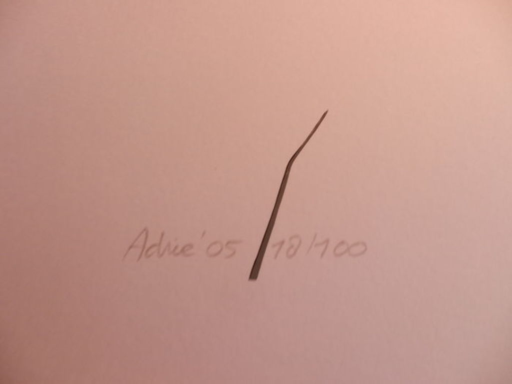 ADRIE SCHERPENBERG   Zeefdruk(50x60cm)  PASSIONATA uit 2005 kopen? Bied vanaf 75!