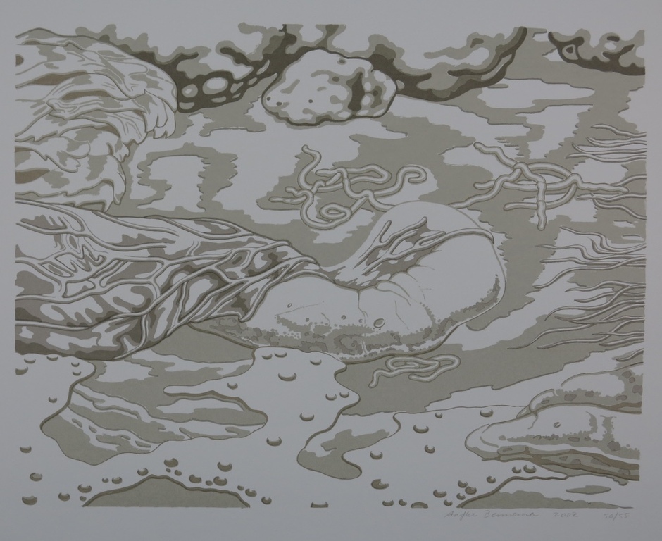 Aafke Bennema: Zeefdruk, Branding kopen? Bied vanaf 1!