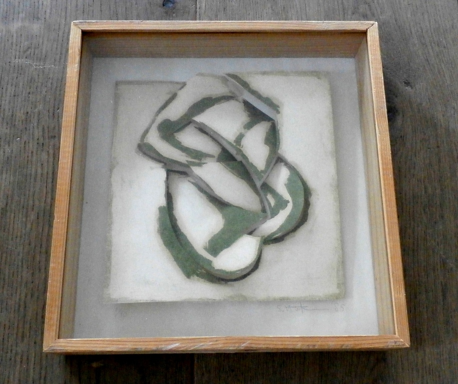 Sjoerd Hofstra - 3 dimensionele litho - oplage 10 kopen? Bied vanaf 55!