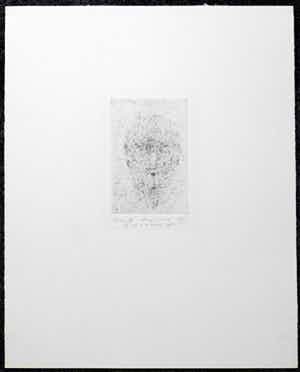 Kees Spermon - Kees Spermon, droge naald,1980 titel: Kop II oplage 13/15 verkocht voor € 48!