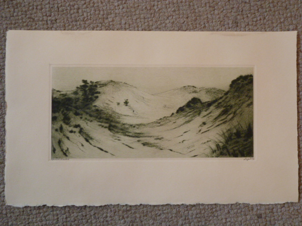 Dirk Harting - ets - Zandverstuiving kopen? Bied vanaf 35!