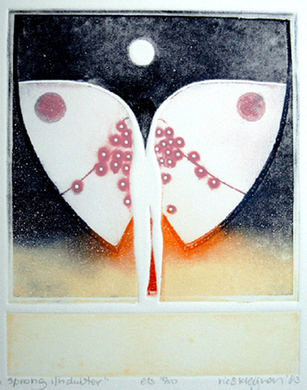 Ries Kleijen, 2 kleurenetsen (1983) + oeuvrecatalogus (2007) kopen? Bied vanaf 115!