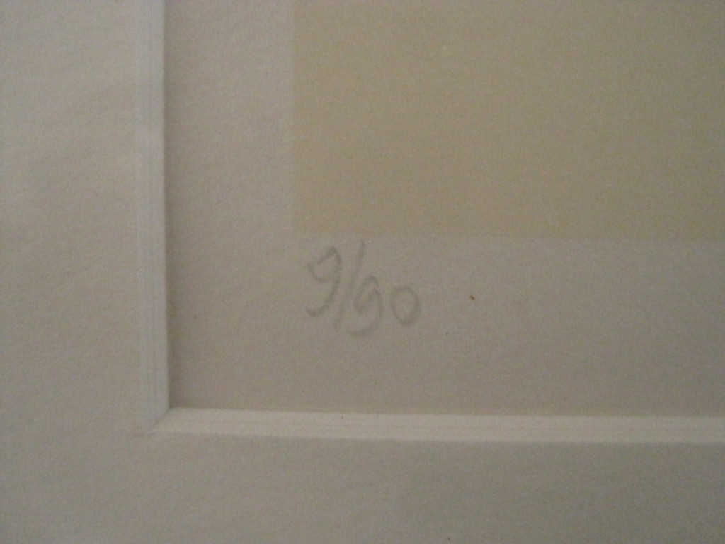 Metten Koornstra 1912-1978 - grote lithografie "2 peren" gesigneerd 1972  kopen? Bied vanaf 1!