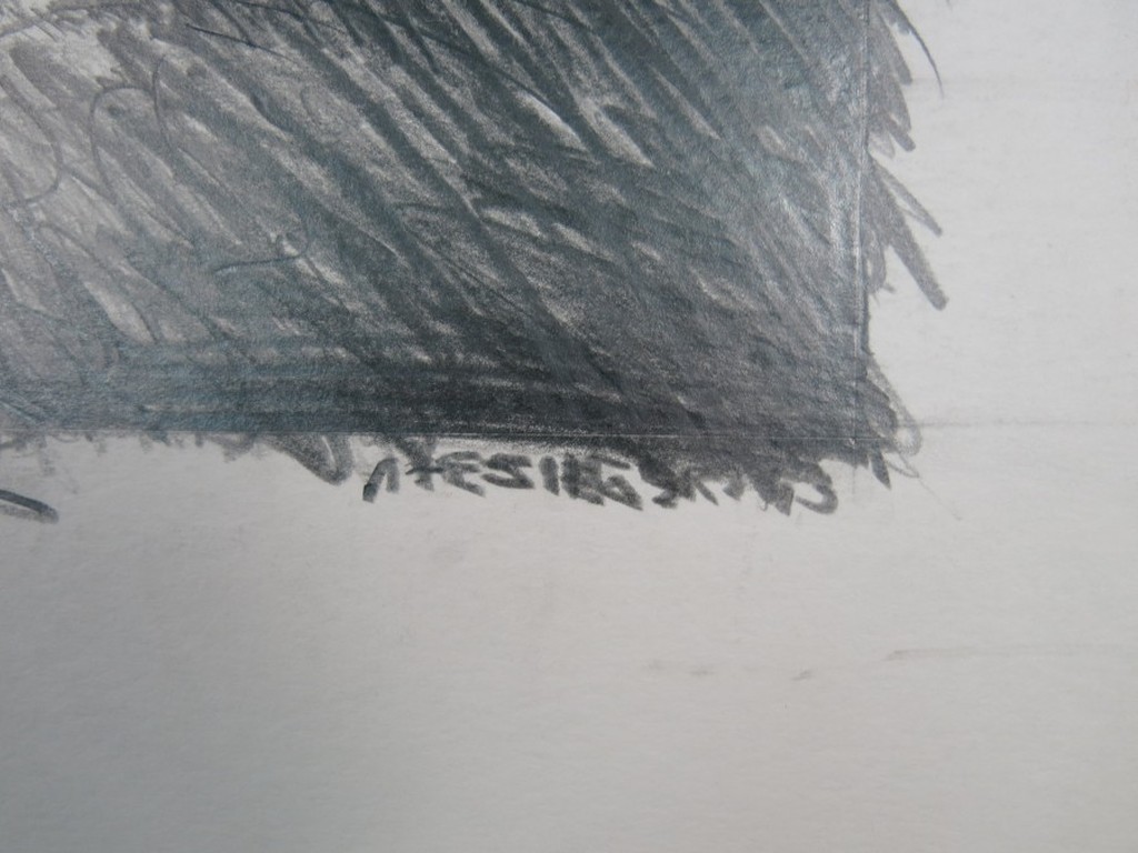 Onbekend gesigneerd: Potlood tekening, Stormachtig landschap kopen? Bied vanaf 1!