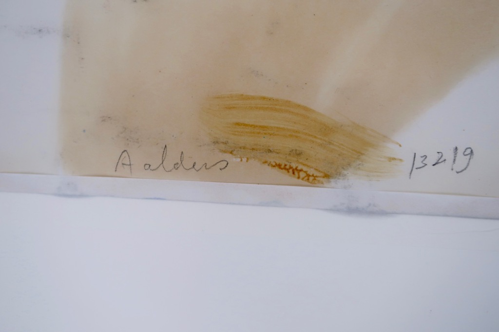 Steven Aalders: Gemengde techniek en Collage, Studie 2 Z.T. - Ingelijst kopen? Bied vanaf 60!