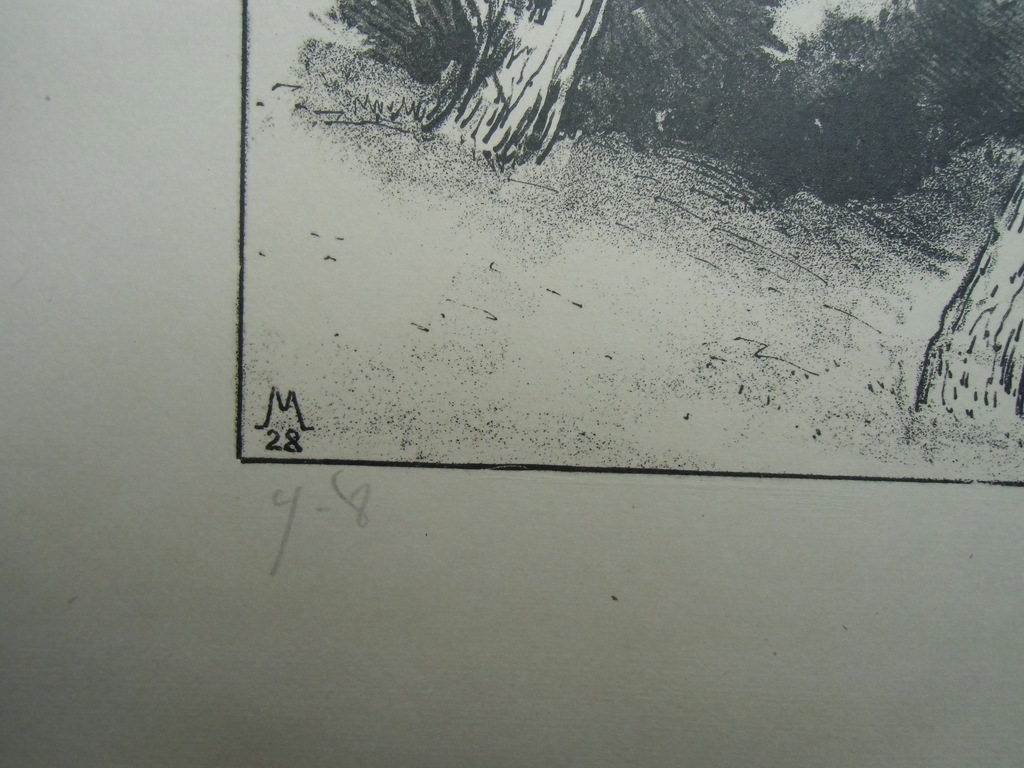 DENNEN   ///   LITHO VAN SIMON MOULIJN kopen? Bied vanaf 20!