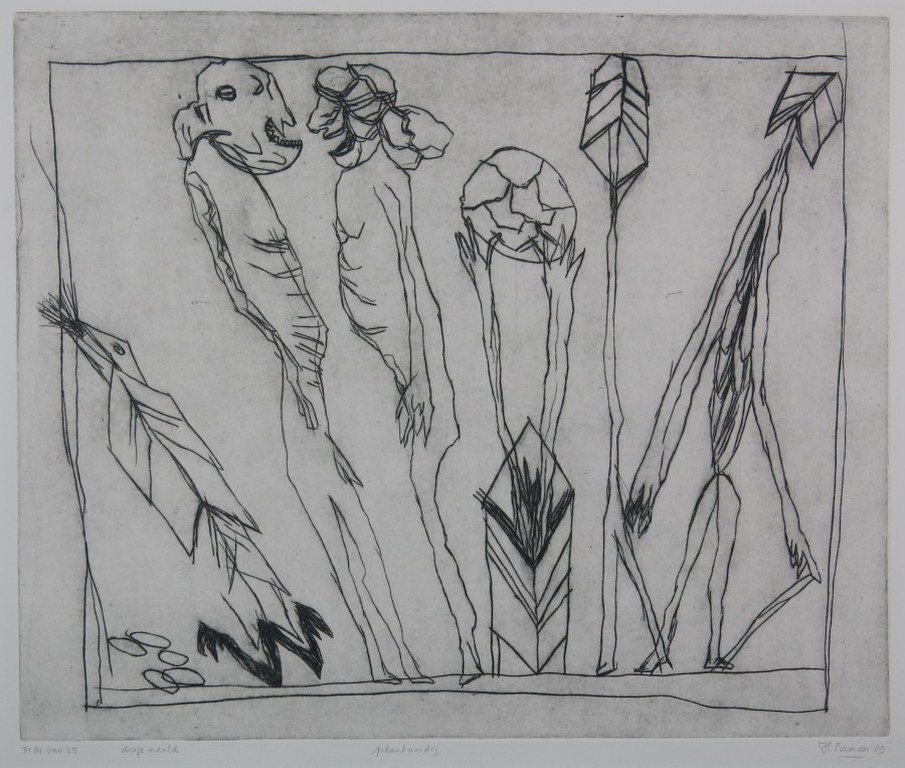 Hanny Ramaer: Droge Naald, Plantaardig kopen? Bied vanaf 1!