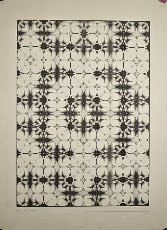 Shinkichi Tajiri: Offset. My secret garden number 9 kopen? Bied vanaf 50!