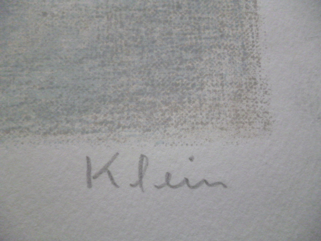 Frits Klein - kleurenlitho - Circuspaarden kopen? Bied vanaf 75!