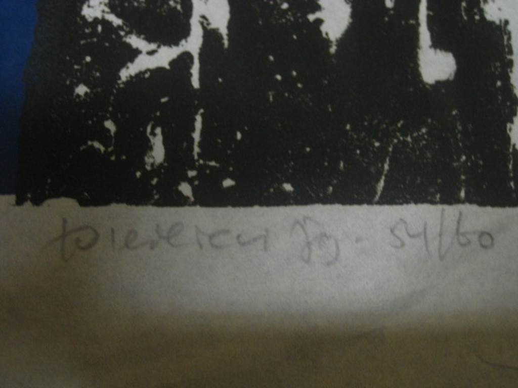 Jef Diederen (1920-2009) grote kleurenlitho "de Val" gesigneerd ca. 1970 kopen? Bied vanaf 1!