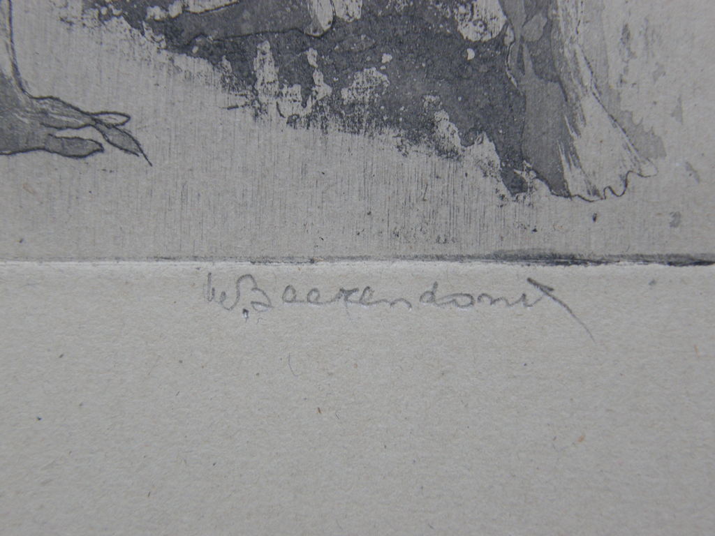 Theo Beerendonk: gesigneerde ets kopen? Bied vanaf 20!