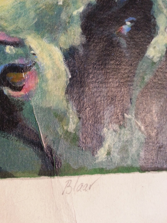 Theo Onnes zeefdruk op handgeschept papier " Blaar "  kopen? Bied vanaf 40!