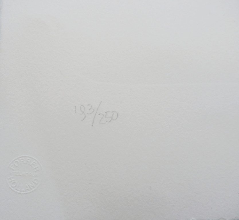 Herman Gordijn - Herman Gordijn - litho: rolschaatsend figuur kopen? Bied vanaf 150!