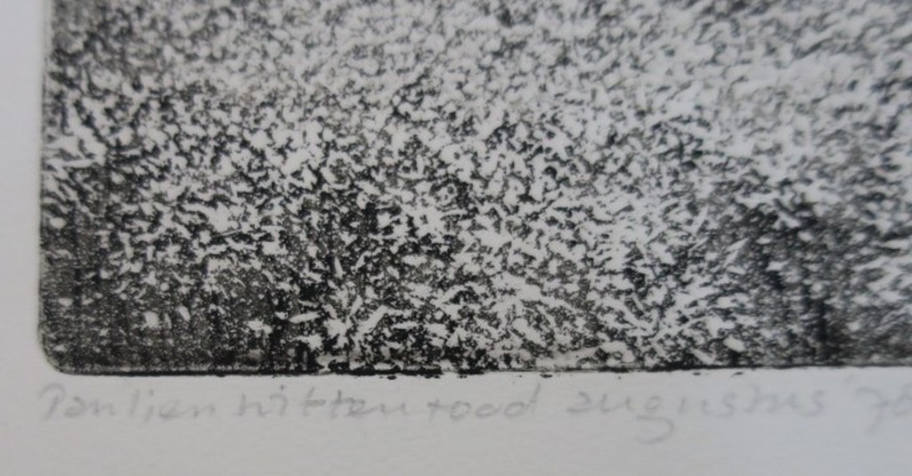 Paulien Wittenrood: Ets, Wolfheze V (heide in de zomer) kopen? Bied vanaf 35!