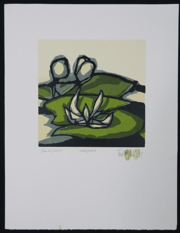 Fon Klement: Boarddruk, Nenuphar kopen? Bied vanaf 50!