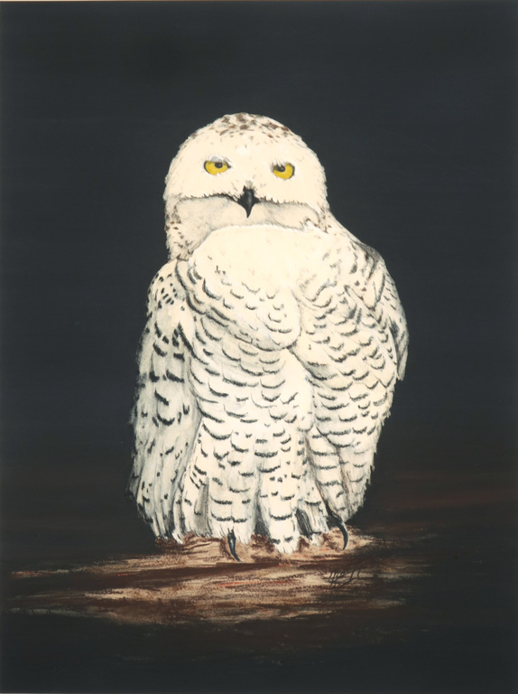 Onbekende kunstenaar: Acryl en krijt op papier, Sneeuwuil kopen? Bied vanaf 1!