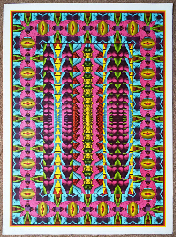 Shinkichi Tajiri - My secret garden no 3, gesigneerde offset kopen? Bied vanaf 65!