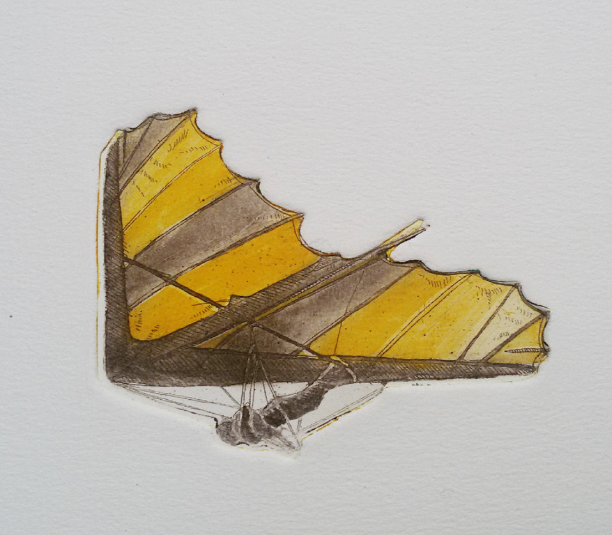Leentje Linders - Aspect of flying III, aquatint ets met reliëfdruk kopen? Bied vanaf 70!