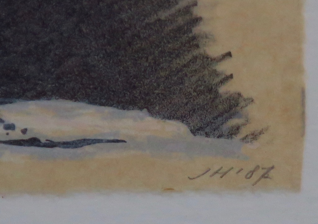 Jan Hein van Rooy: Litho, Waterval -Ingelijst kopen? Bied vanaf 20!