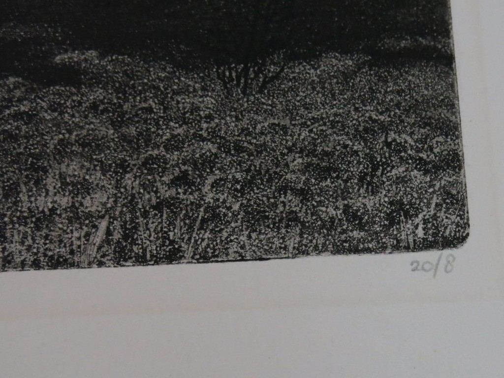 Paulien Wittenrood: Ets, Wolfheze IV (heide bij donker weer) kopen? Bied vanaf 20!