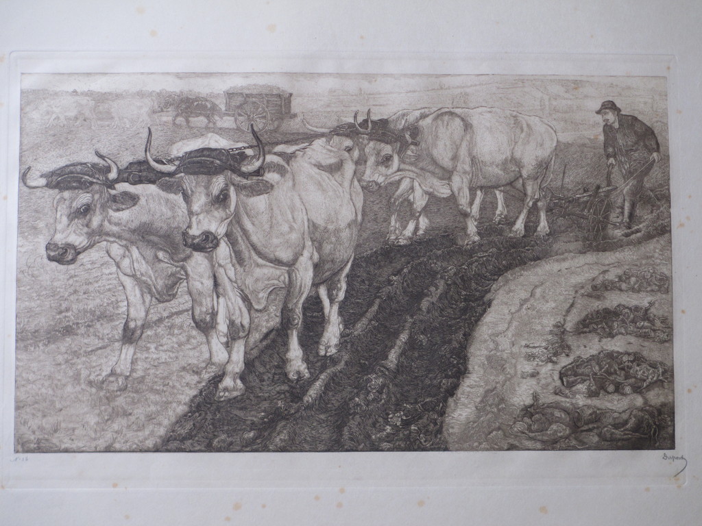 Pieter Dupont, Ploegende ossen, Ets op koper verkocht voor € 150!