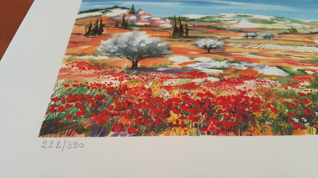 Ella Fort, Bloeiende klaprozen, Schitterende Kleuren Lithografie kopen? Bied vanaf 1!