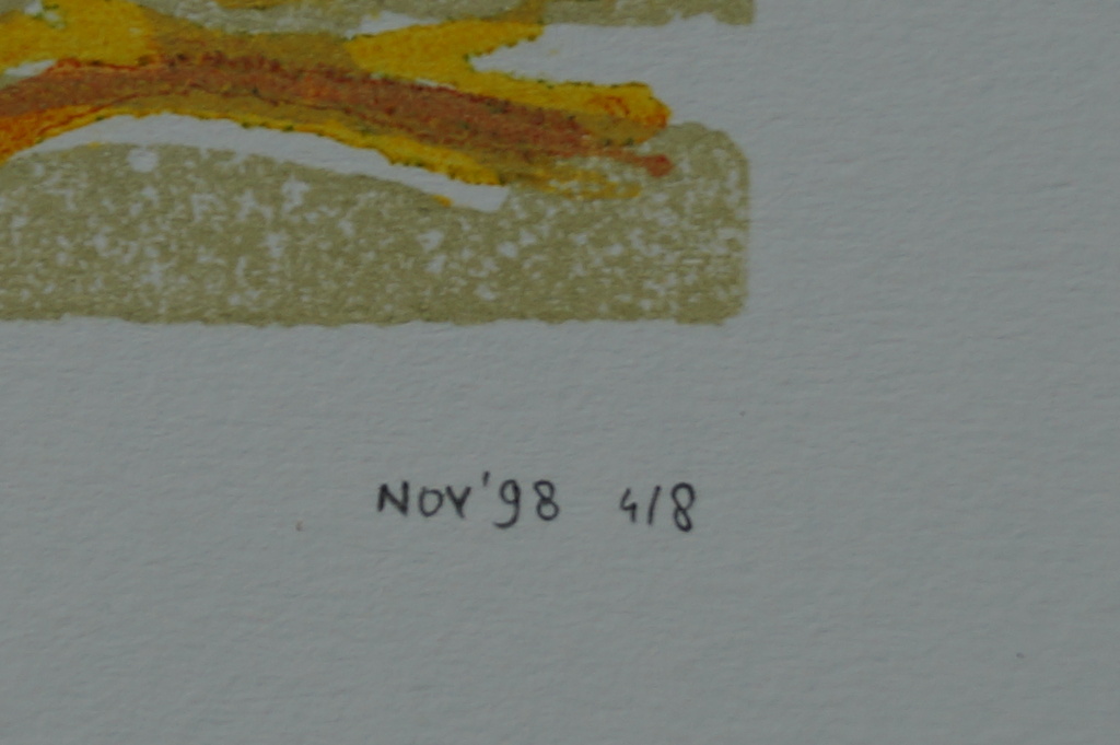 Saskia van Broekhoven - gesigneerde linosnede - 1998 kopen? Bied vanaf 1!