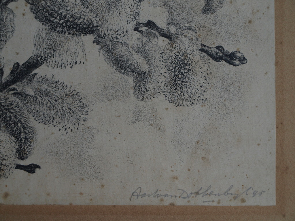 Aart van Dobbenburgh : Litho , Appelvink – Gesigneerd – 1945 – oplage 30 kopen? Bied vanaf 1!