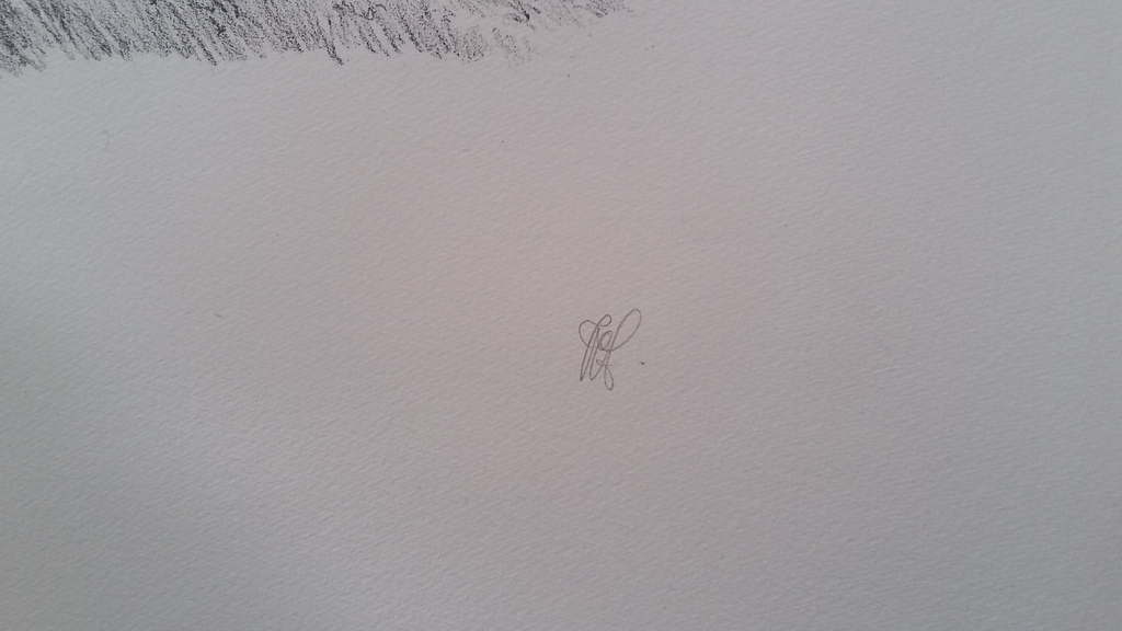 Peter Vos: Schiereiland Melancholie, grote litho  kopen? Bied vanaf 60!