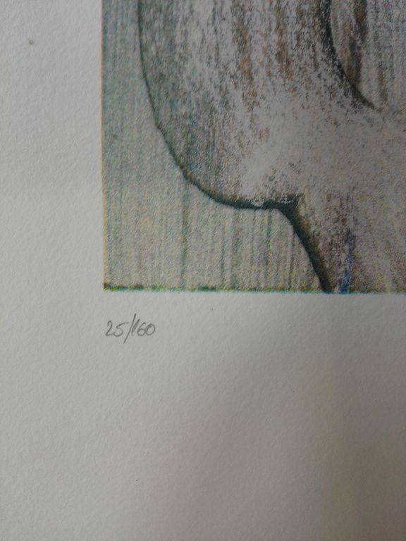 Jan te Wierik, zeefdruk op papier, Titel: Masker kopen? Bied vanaf 125!