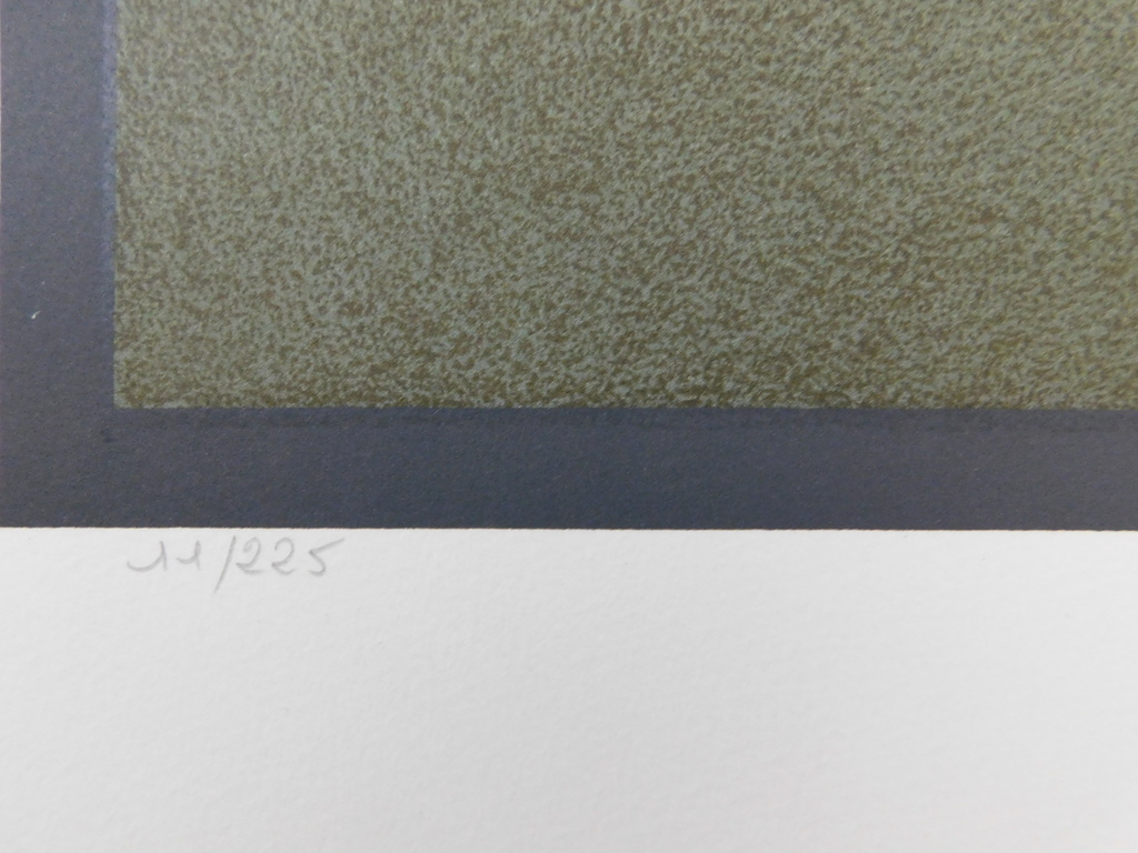 Mikhail Chemiakin - Kleurenlitho - Le Ventre de Paris kopen? Bied vanaf 75!