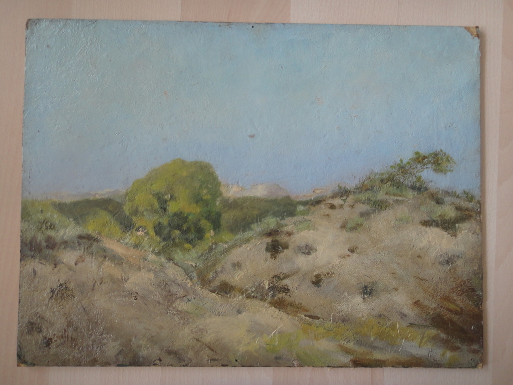 Johannes Baptista Crol, olieverf op board, Hollands duinlandschap kopen? Bied vanaf 1!