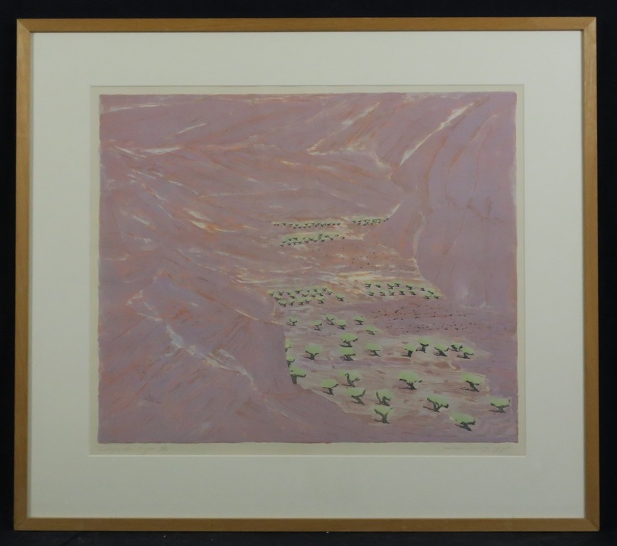 Jan Hein van Rooy: Litho, Campo di Nijar - Ingelijst kopen? Bied vanaf 1!