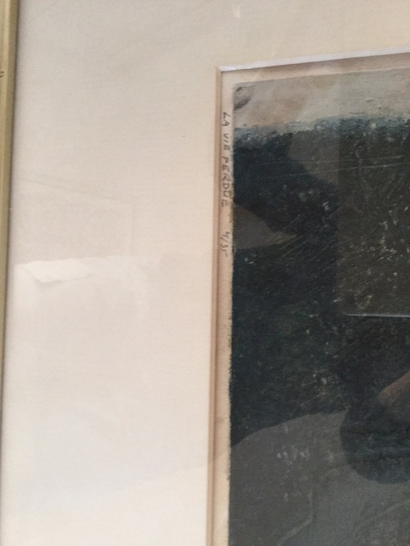 La vie perdu  kopen? Bied vanaf 225!