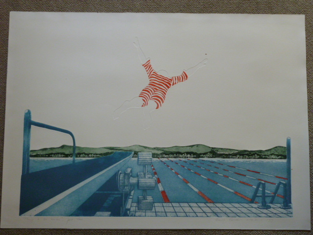 Leentje Linders - kleurenets - Plunge to the horizon part three kopen? Bied vanaf 40!