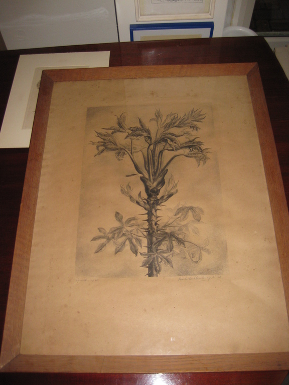 Litho van Aart van Dobbenburgh (1899-1988) litho Lente 1938 kopen? Bied vanaf 30!