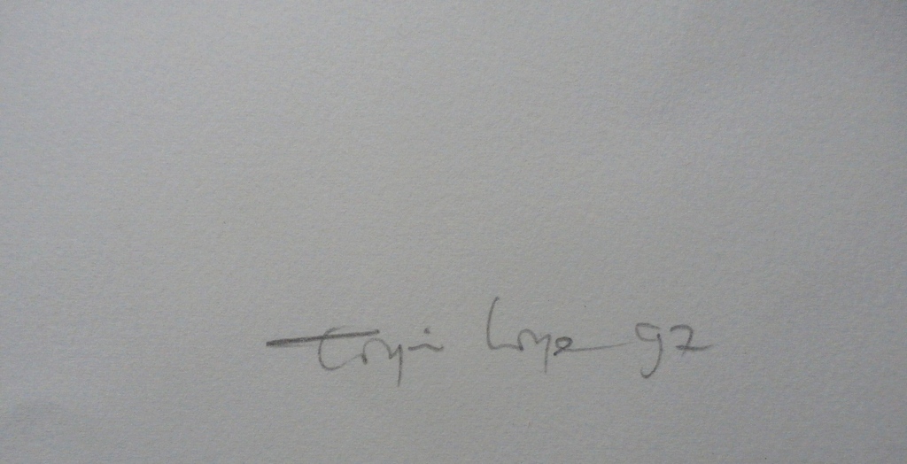 Toyin Loye - zeefdruk - 1997 kopen? Bied vanaf 75!