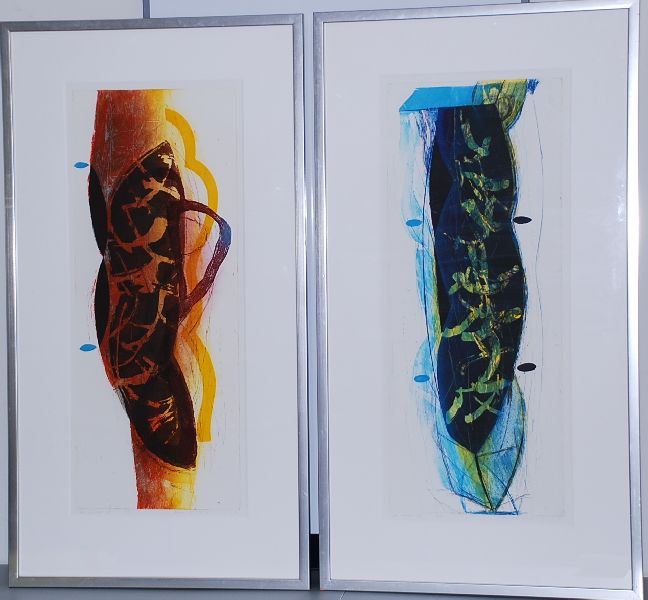 Hans Vredegoor: Tweeluik Kleurenetsen: La Source  verkocht voor € 51!