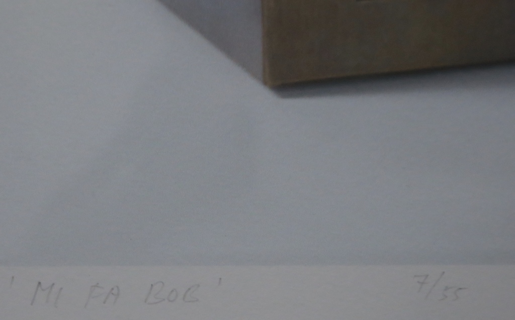 Marc Ruygrok: Piezografie, Mi Fa Bob -Ingelijst kopen? Bied vanaf 35!