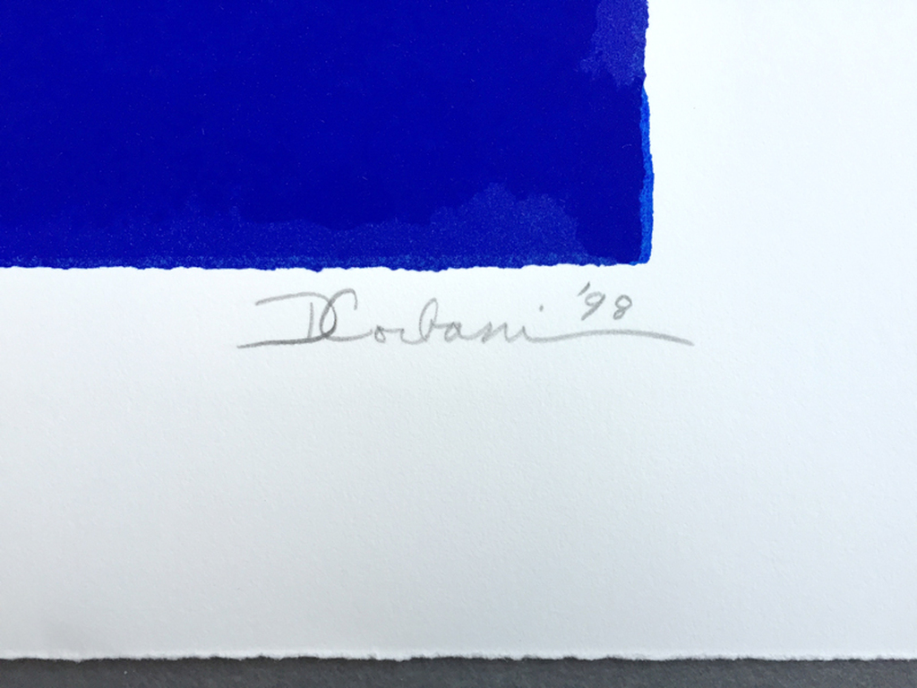 Donna Corbani - Vissen - Gesigneerde zeefdruk - E/A - 1998 kopen? Bied vanaf 45!