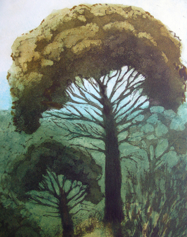 Willy Belinfante (1922-2014) - LES PINS PARASOLS - kleurets kopen? Bied vanaf 1!